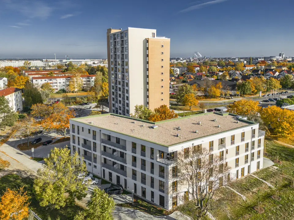 3 Zimmer Wohnung mit 152 m² in Cottbus – Bild 3