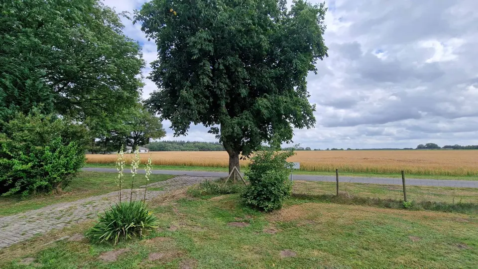 5 Zimmer Haus mit 100 m² in Verden (Aller) – Bild 5