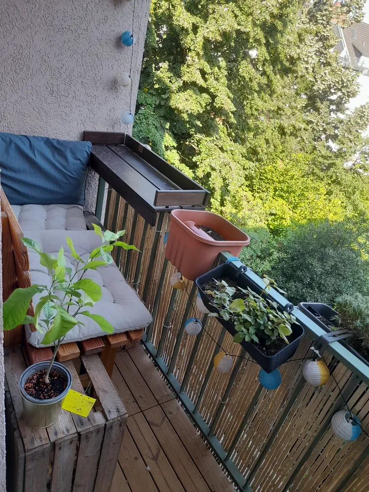 2 Zimmer Wohnung mit 59 m² in Düsseldorf – Bild 7