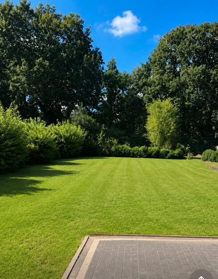 4 Zimmer Haus mit 180 m² in Papenburg – Bild 5