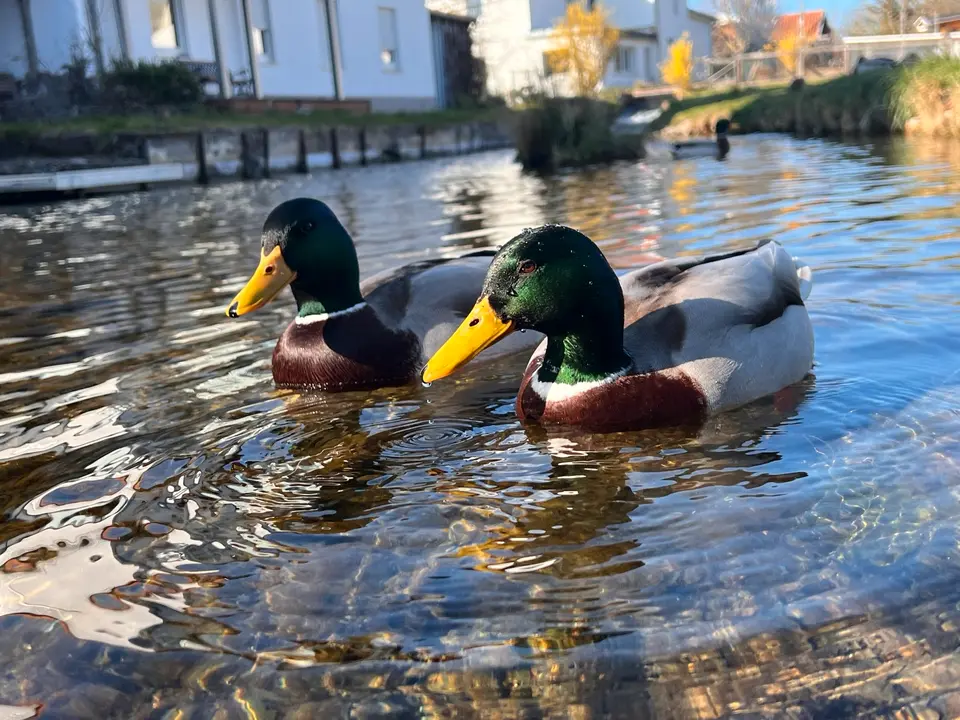 4 Zimmer Wohnung mit 150 m² in Osterode am Harz – Bild 7