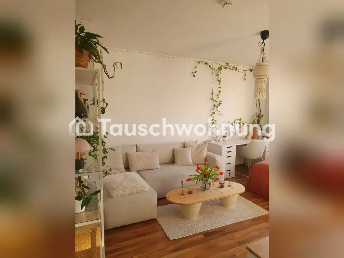 1 Zimmer Wohnung mit 28 m² in Erfurt – Bild 3