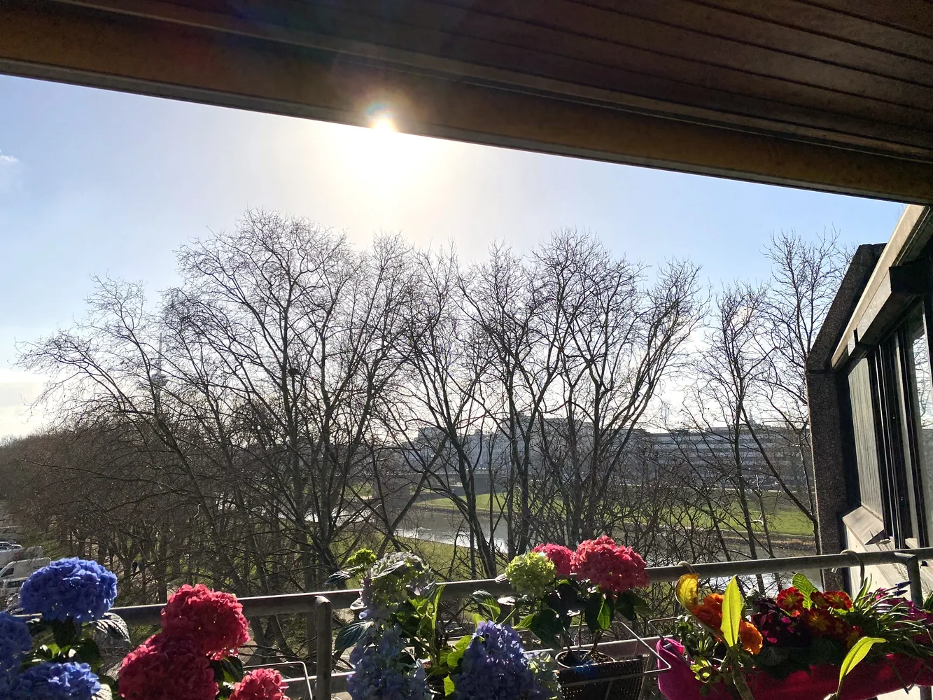 1 Zimmer Wohnung mit 34 m² in Mannheim – Bild 7