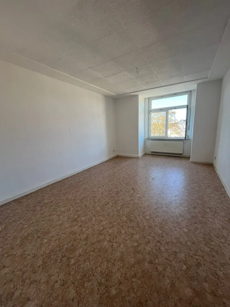 2 room apartment with 54 m² in Chemnitz – Photo 1