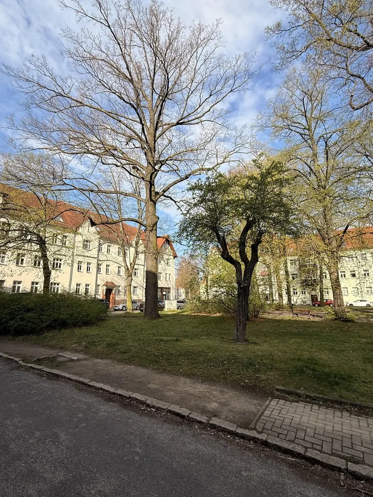 3 Zimmer Wohnung mit 75 m² in Leipzig – Bild 5