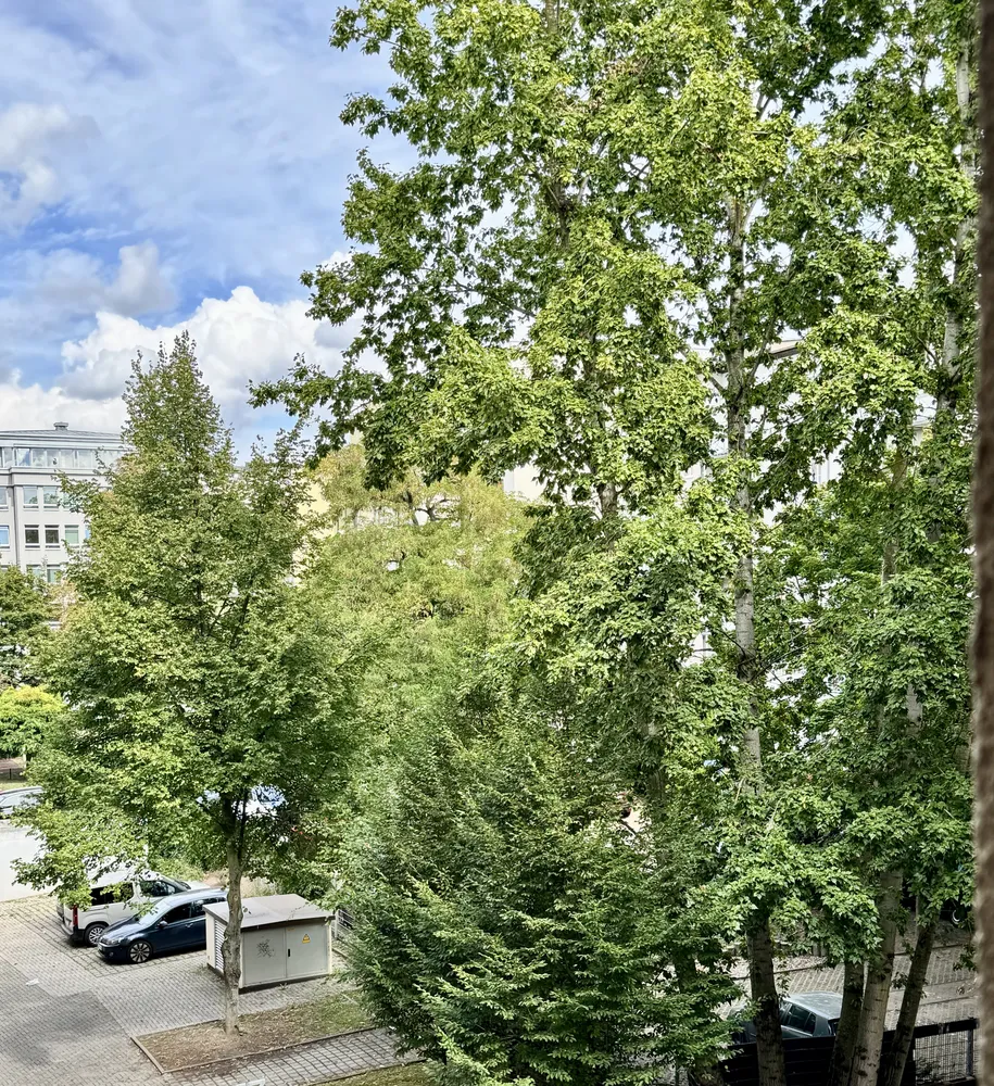 2 Zimmer Wohnung mit 58 m² in Magdeburg – Bild 3