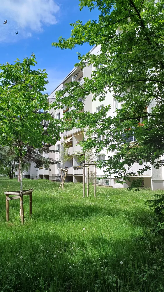 3 room apartment with 58 m² in Dresden – Photo 1