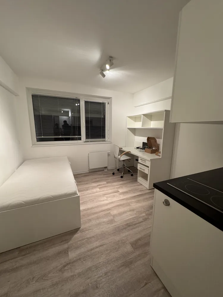 1 Zimmer Wohnung mit 19 m² in Heidelberg – Bild 1