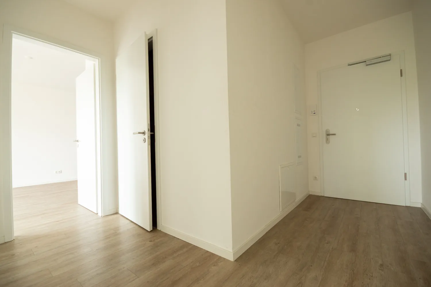 2 room apartment with 56 m² in Dresden – Photo 8