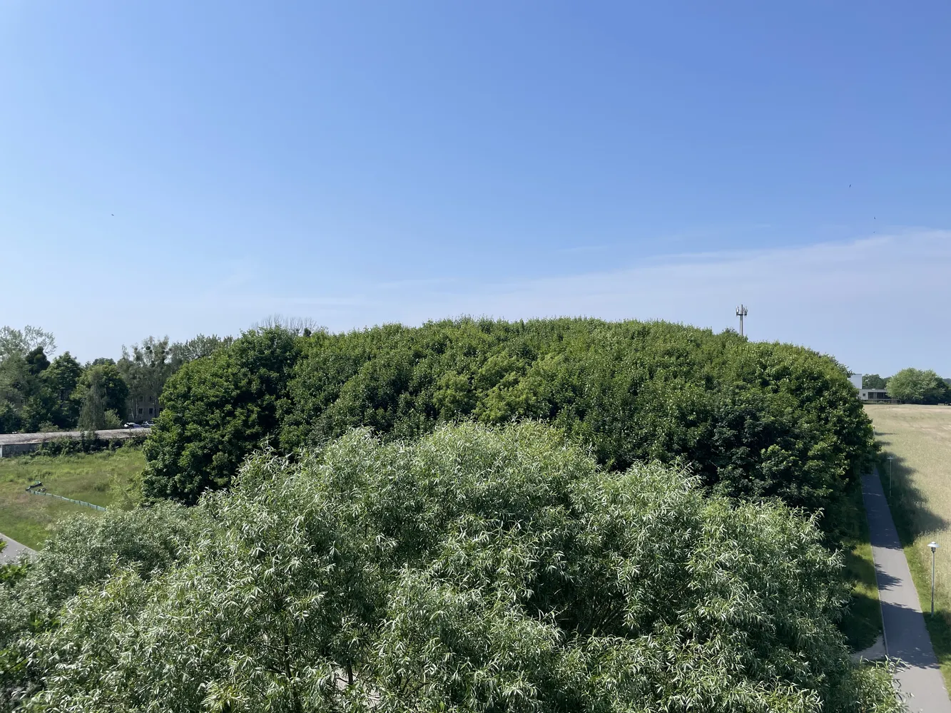 2 room apartment with 62 m² in Potsdam – Photo 8