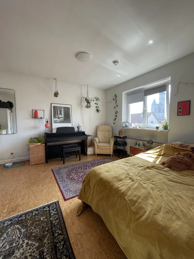 2 room apartment with 68 m² in Brunswick – Photo 6