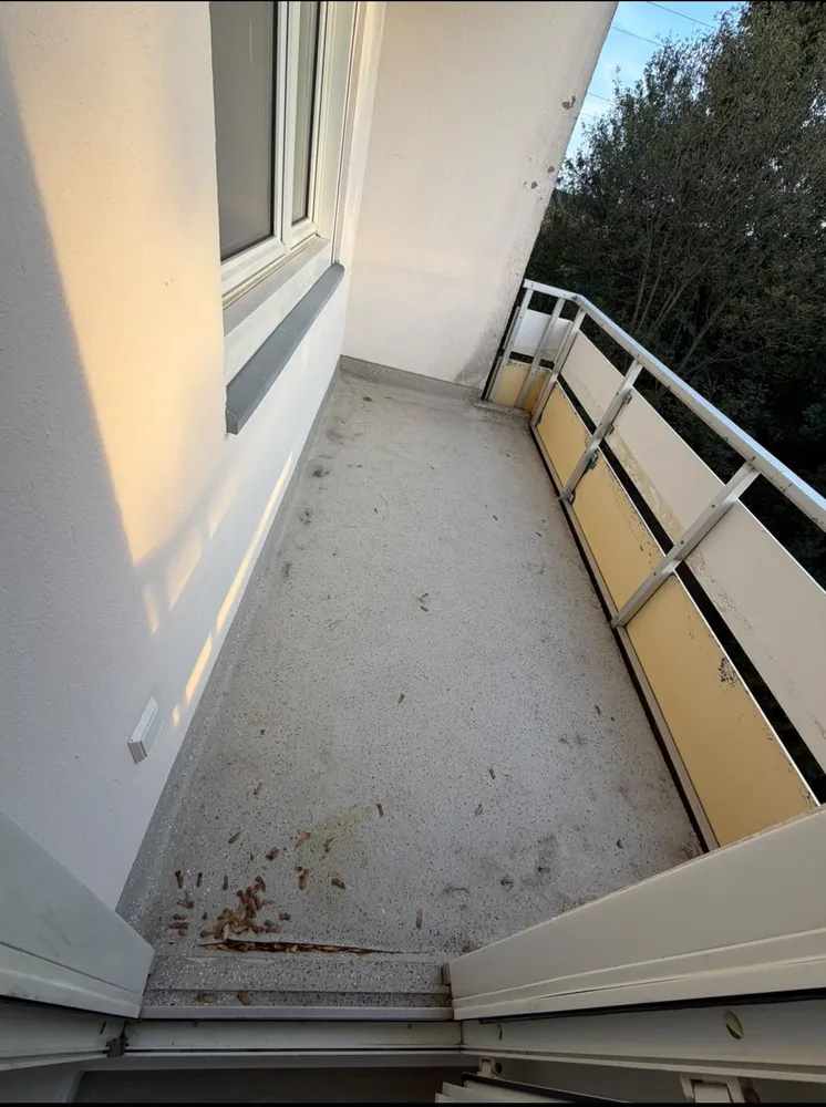 2 Zimmer Wohnung mit 60 m² in Viersen – Bild 2