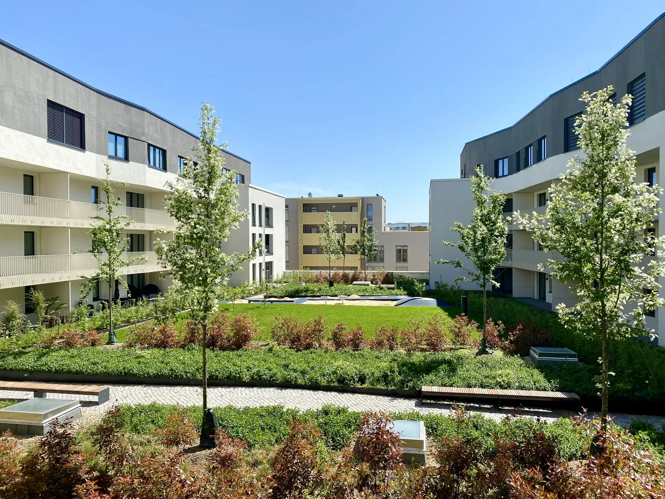 2 Zimmer Wohnung mit 102 m² in Dresden – Bild 3