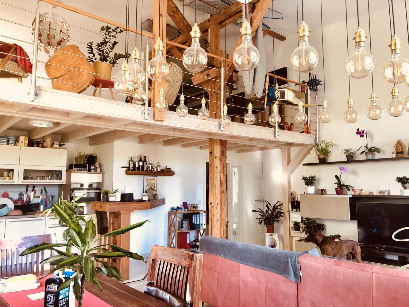2 Zimmer Wohnung mit 99 m² in Chemnitz – Bild 6