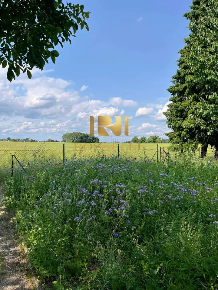 6 Zimmer Haus mit 160 m² in Wolfenbüttel – Bild 6