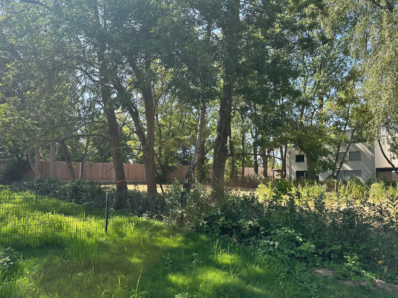 6 Zimmer Haus mit 237 m² in Pulheim – Bild 8