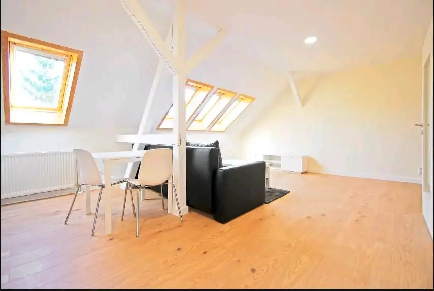 Studio mit 45 m² in Dresden – Bild 2