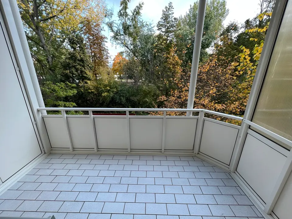 2 Zimmer Wohnung mit 50 m² in Halle (Saale) – Bild 3