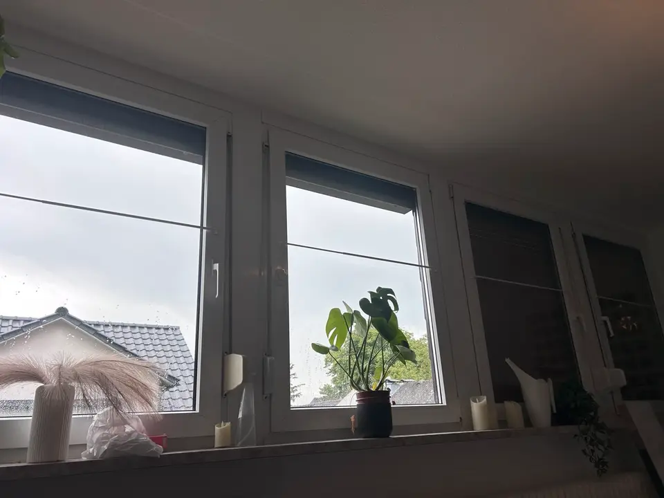 WG-Zimmer mit 25 m² in Mainz – Bild 4