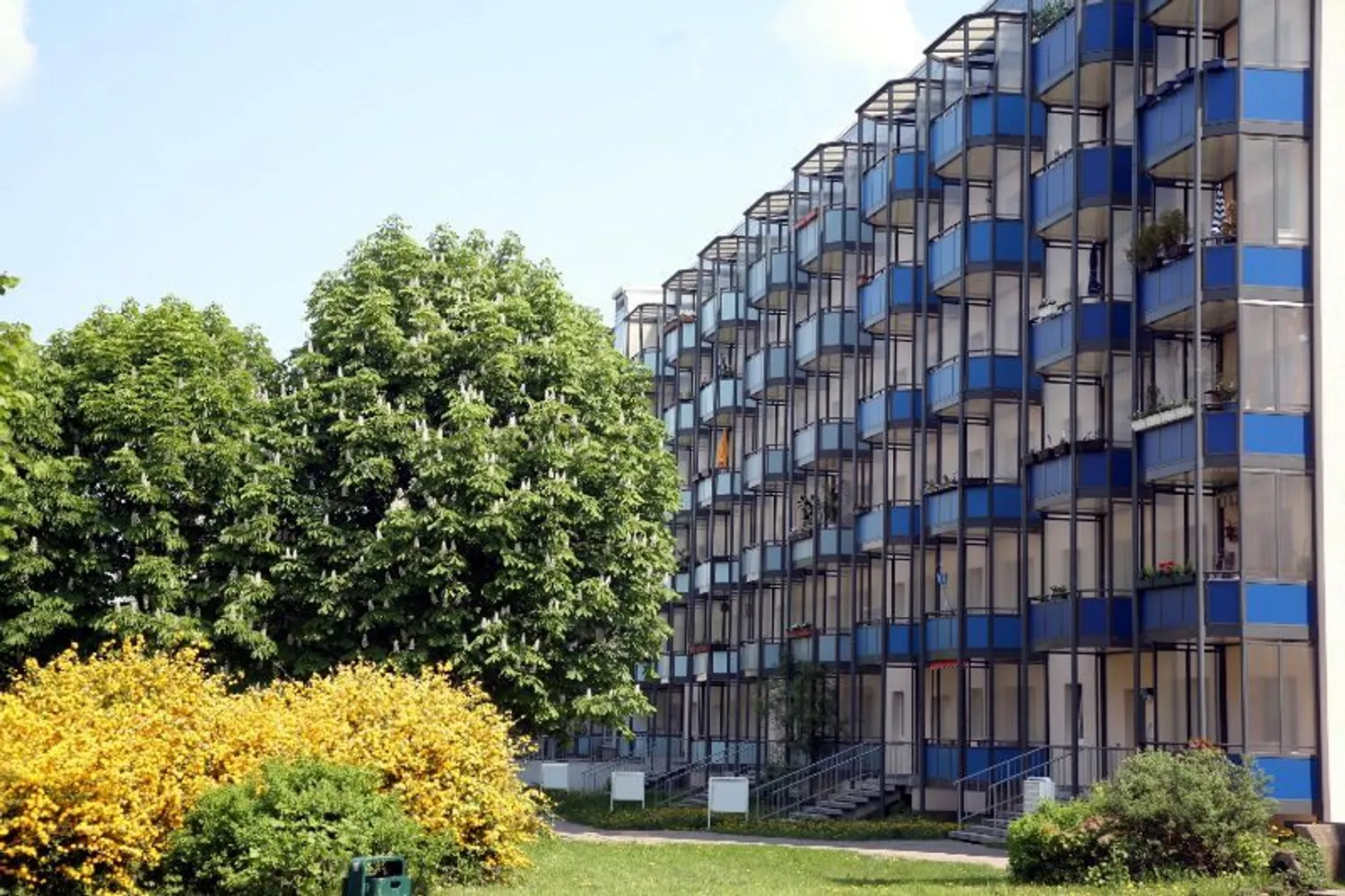 2 Zimmer Wohnung mit 39 m² in Magdeburg – Bild 10
