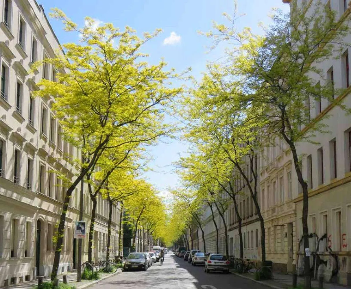 2 Zimmer Wohnung mit 56 m² in Leipzig – Bild 1