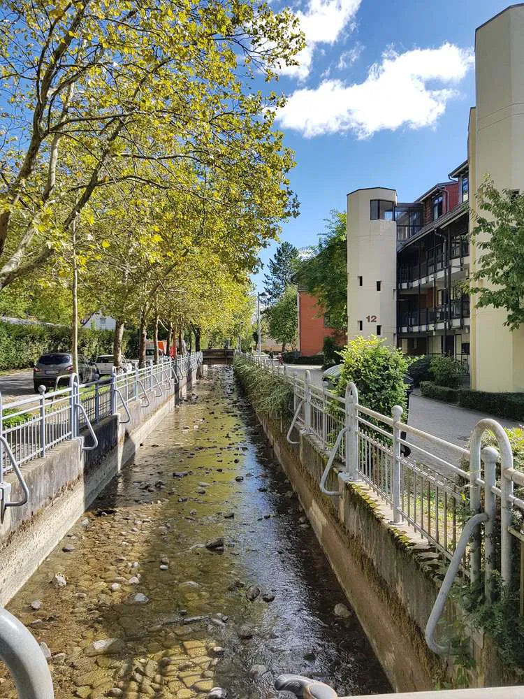 2 Zimmer Wohnung mit 65 m² in Freiburg im Breisgau – Bild 6