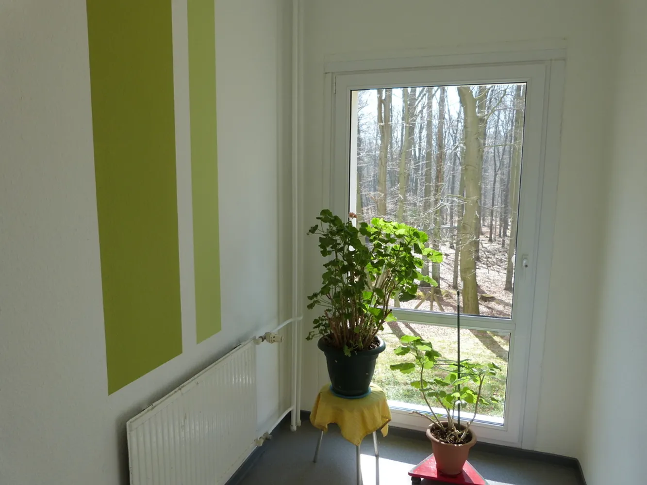 2 room apartment with 57 m² in Chemnitz – Photo 5