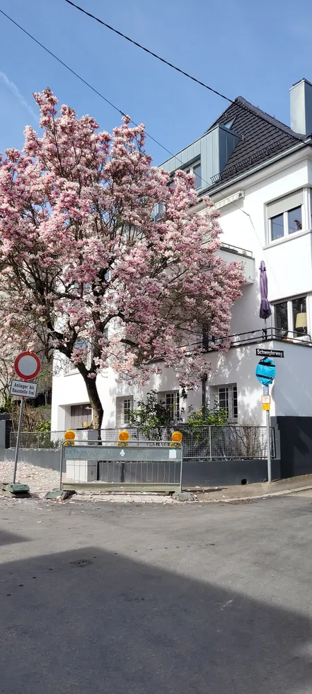 1 Zimmer Wohnung mit 12 m² in Stuttgart – Bild 10