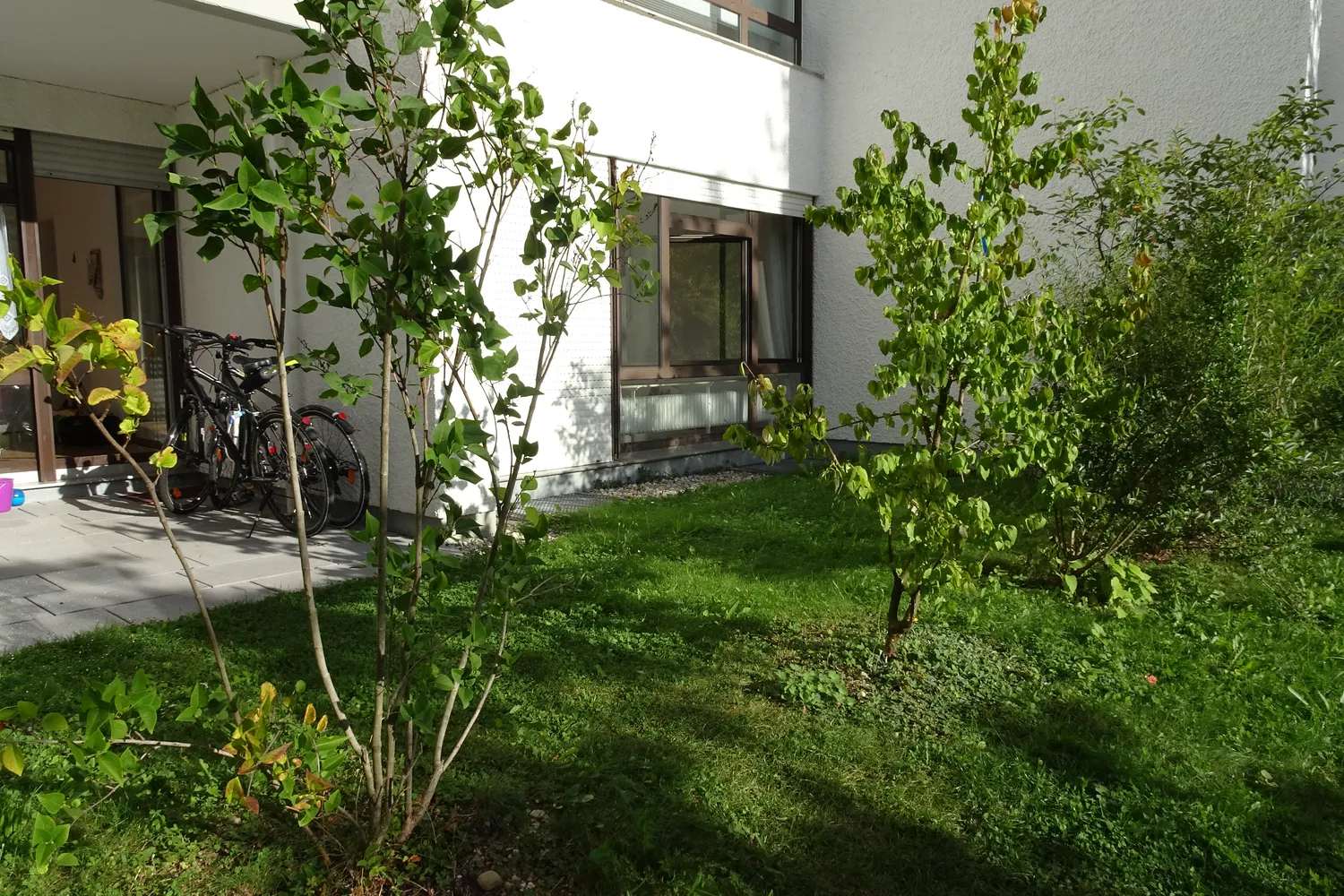 3 room apartment with 74 m² in Munich – Photo 9