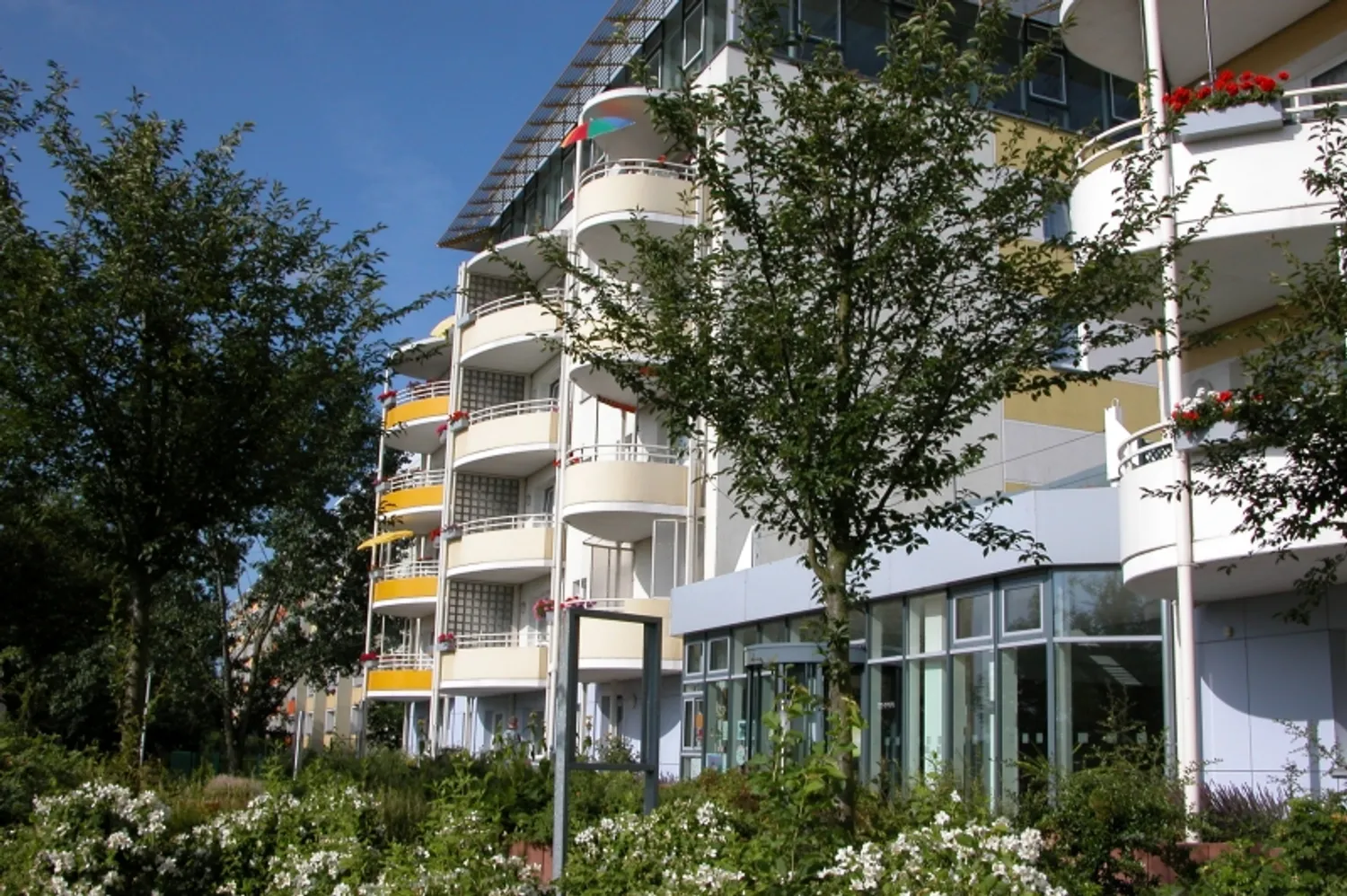 1 Zimmer Wohnung mit 49 m² in Chemnitz – Bild 4