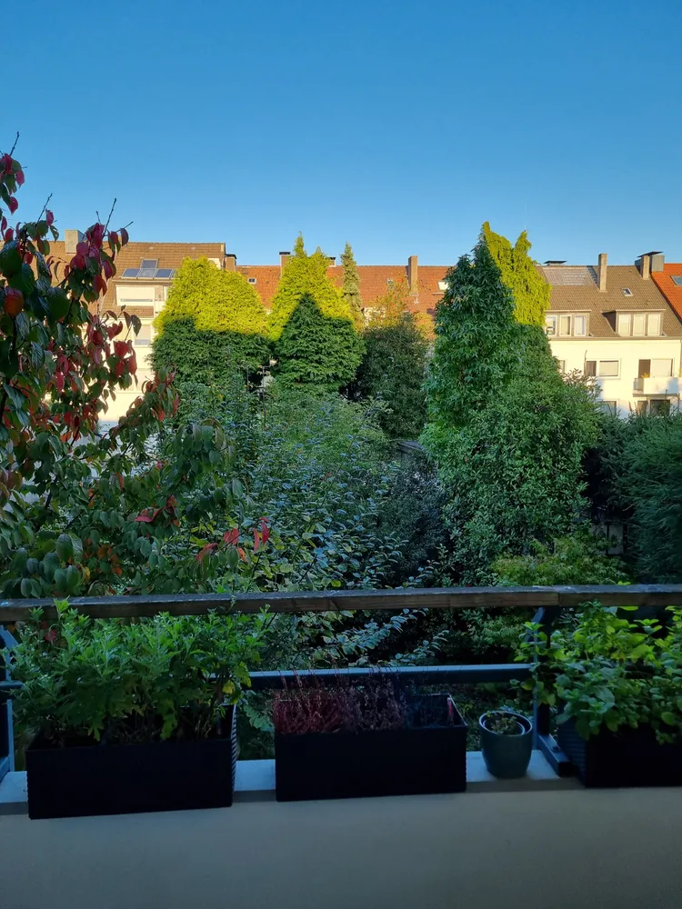 3 Zimmer Wohnung mit 84 m² in Essen – Bild 10