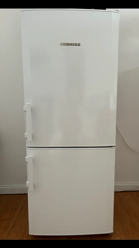 2 room apartment with 35 m² in Magdeburg – Photo 3