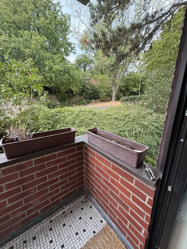 2 Zimmer Wohnung mit 50 m² in Hagen – Bild 3