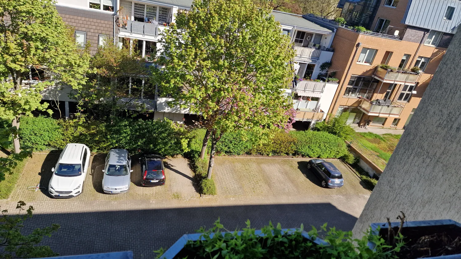 2 room apartment with 46 m² in Magdeburg – Photo 4