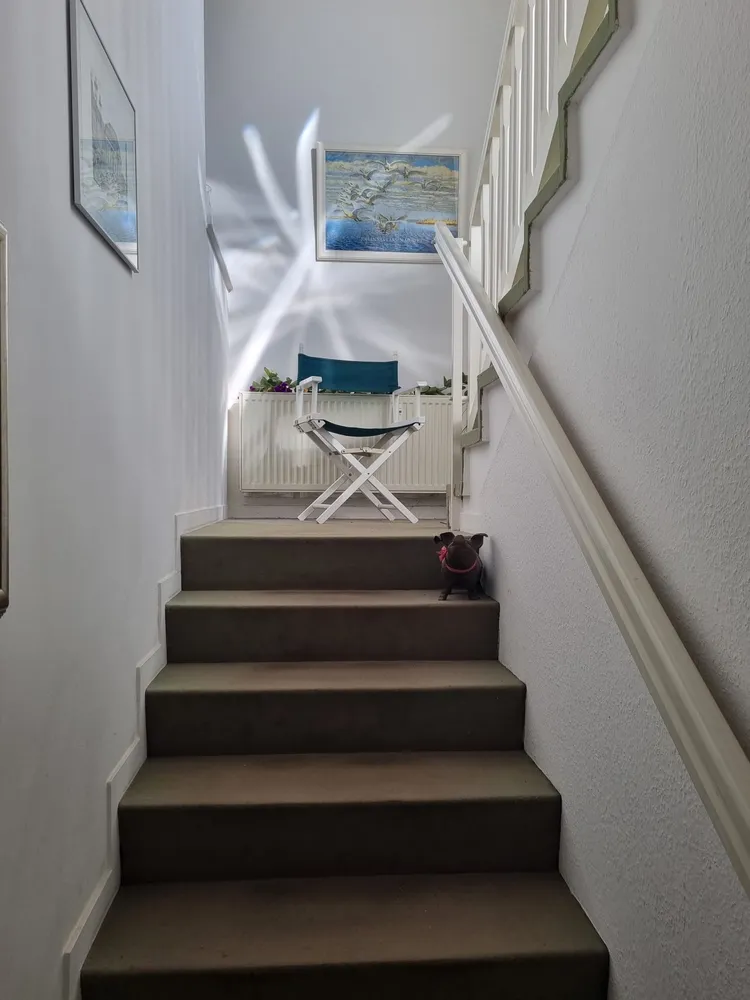 5 room apartment with 135 m² in Bonn – Photo 10