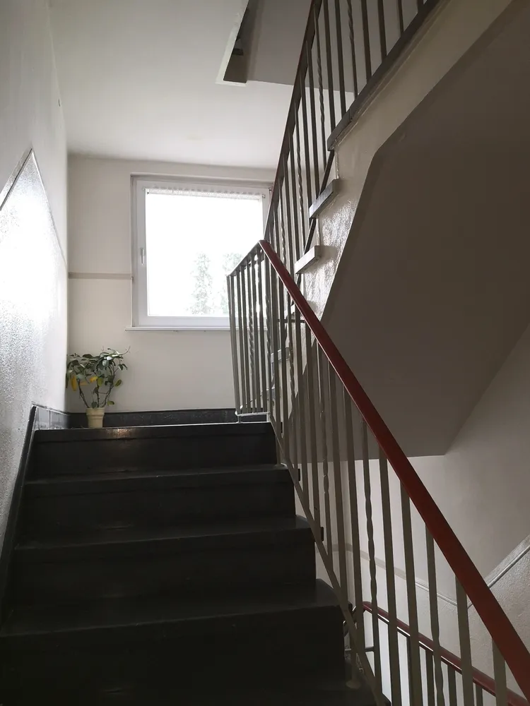3 Zimmer Wohnung mit 60 m² in Gelsenkirchen – Bild 7