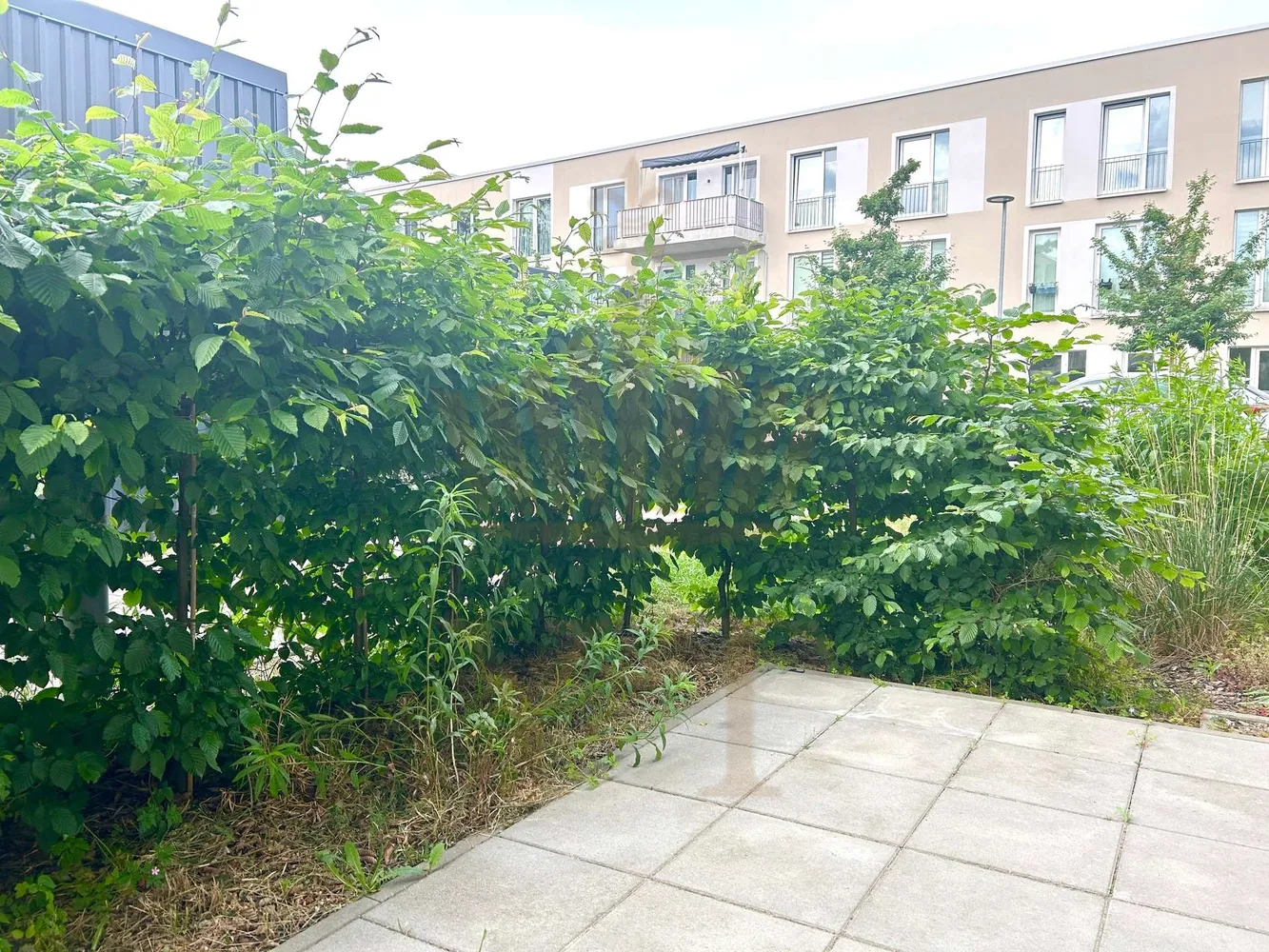 2 Zimmer Wohnung mit 80 m² in Bernau bei Berlin – Bild 4