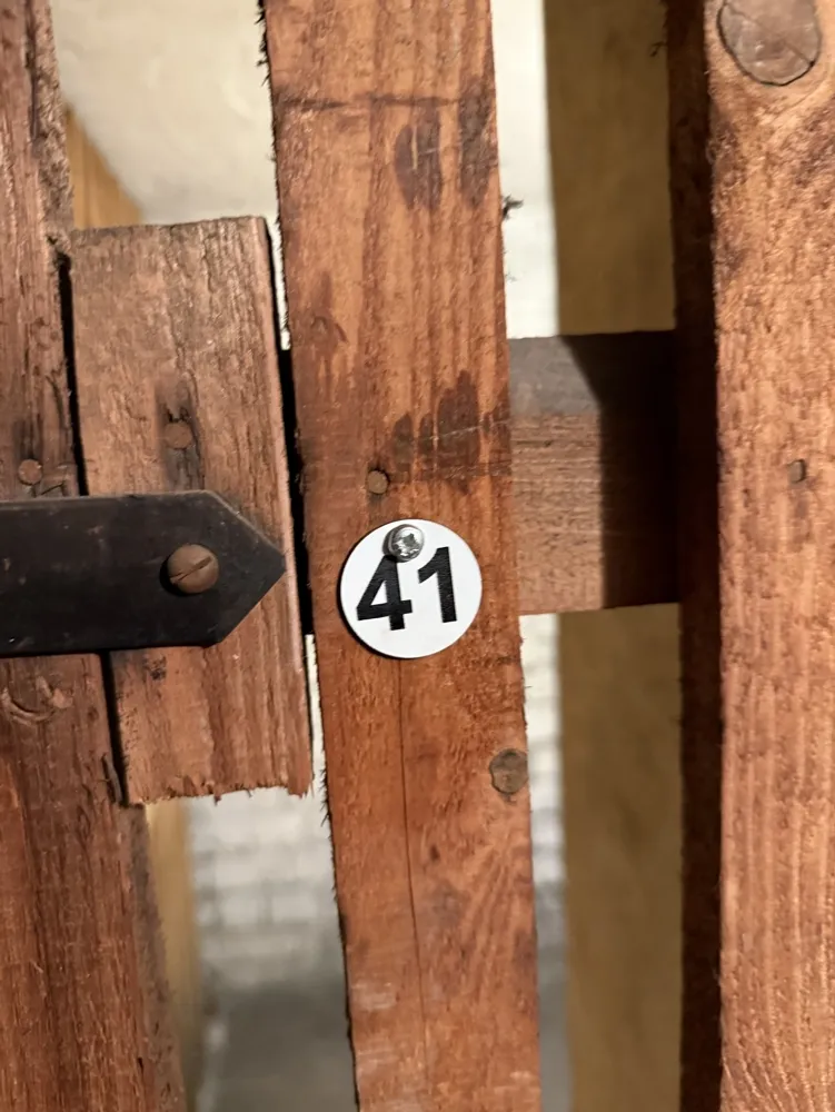 1 Zimmer Wohnung mit 34 m² in Mainz – Bild 8