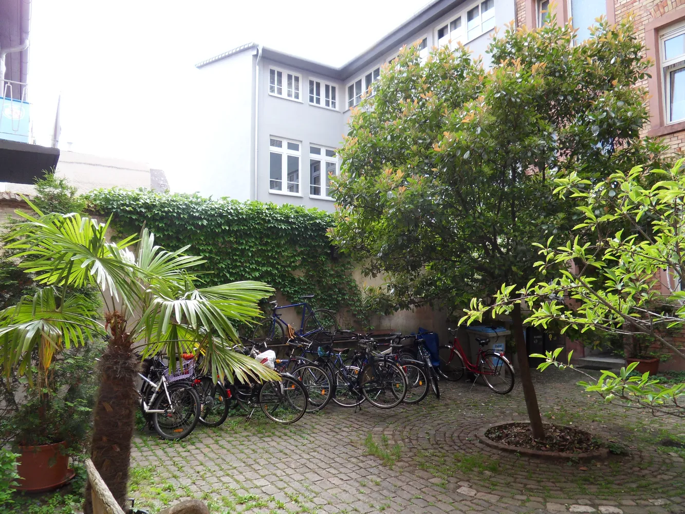 2 Zimmer Wohnung mit 80 m² in Mannheim – Bild 2