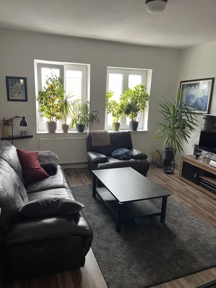 3 room apartment with 70 m² in Magdeburg – Photo 2