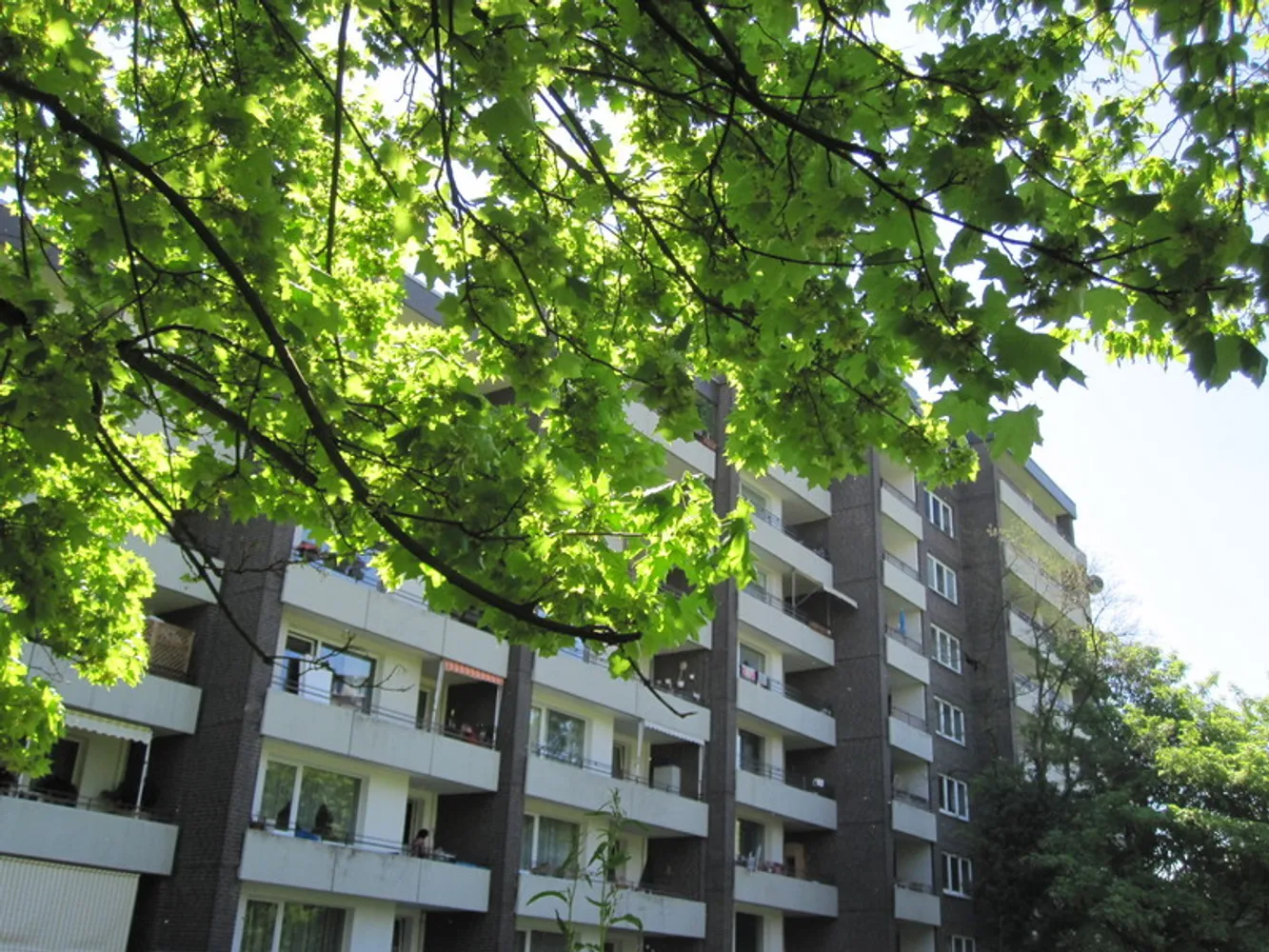 2 Zimmer Wohnung mit 51 m² in Wuppertal – Bild 2