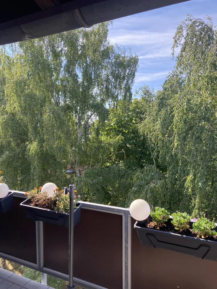 3 Zimmer Wohnung mit 55 m² in Braunschweig – Bild 9