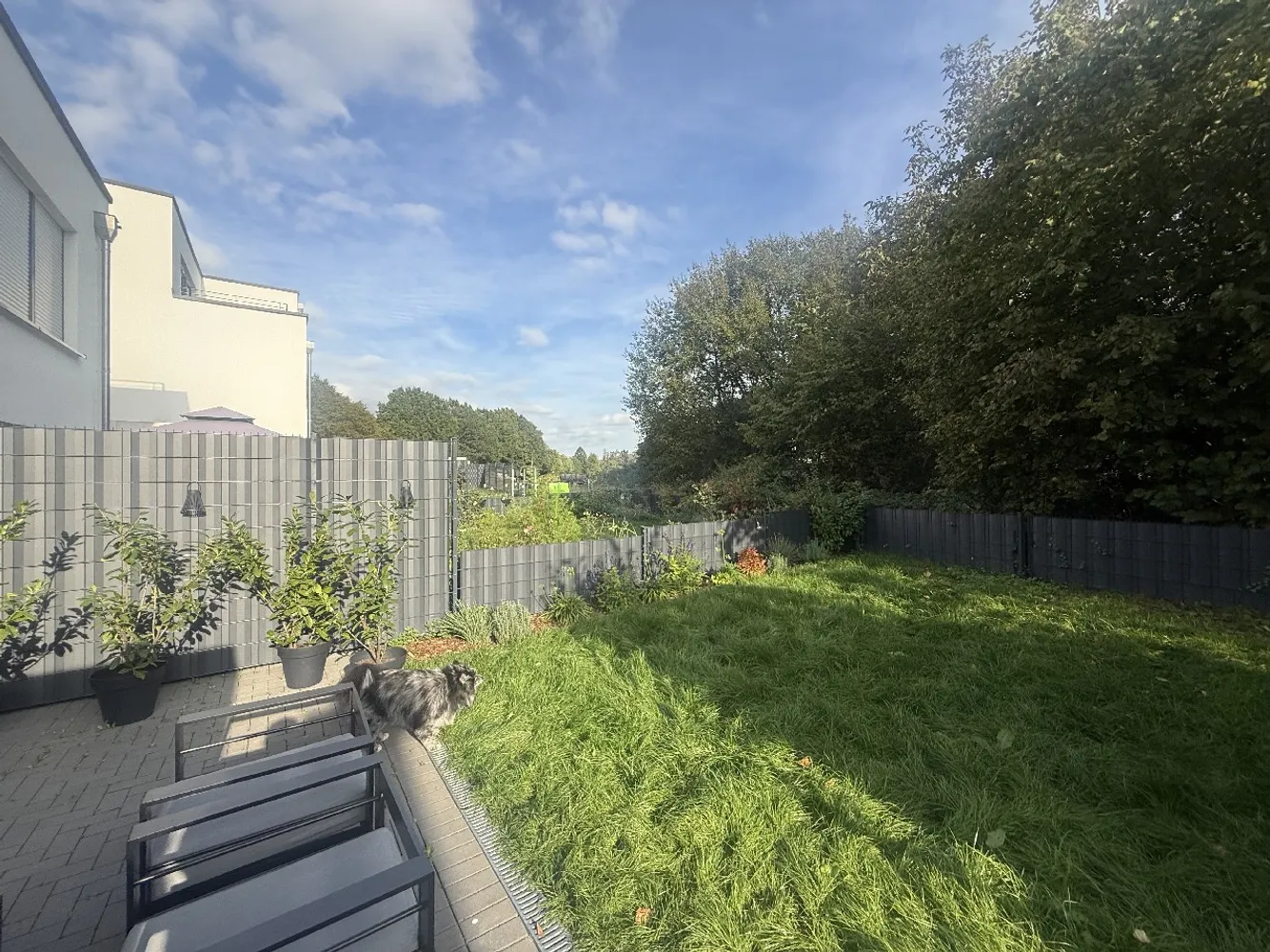 6 Zimmer Haus mit 165 m² in Solingen – Bild 2