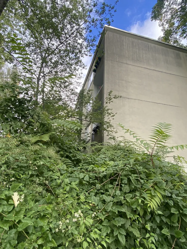 4 room apartment with 87 m² in Frankfurt am Main – Photo 7