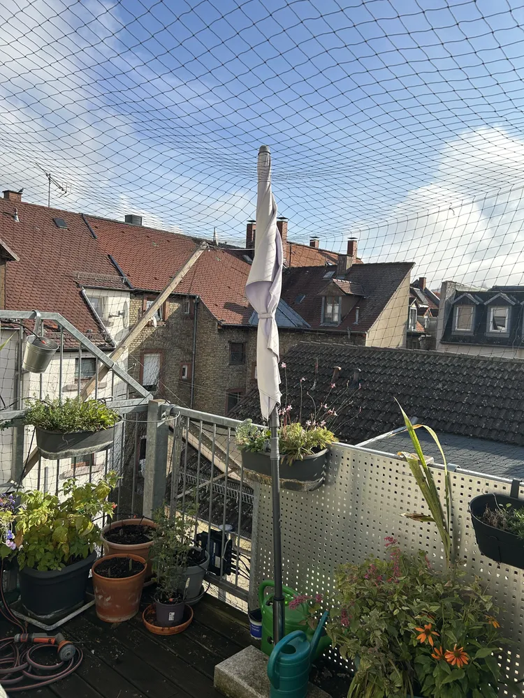 4 Zimmer Wohnung mit 113 m² in Karlsruhe – Bild 3