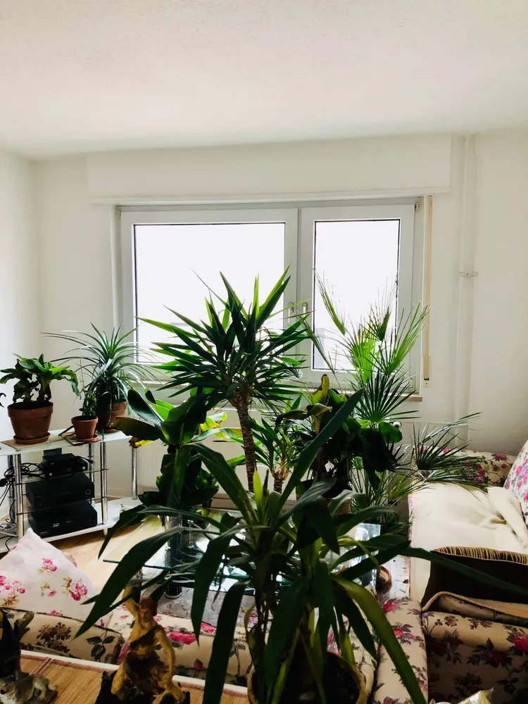 1 Zimmer Wohnung mit 42 m² in Mannheim – Bild 2