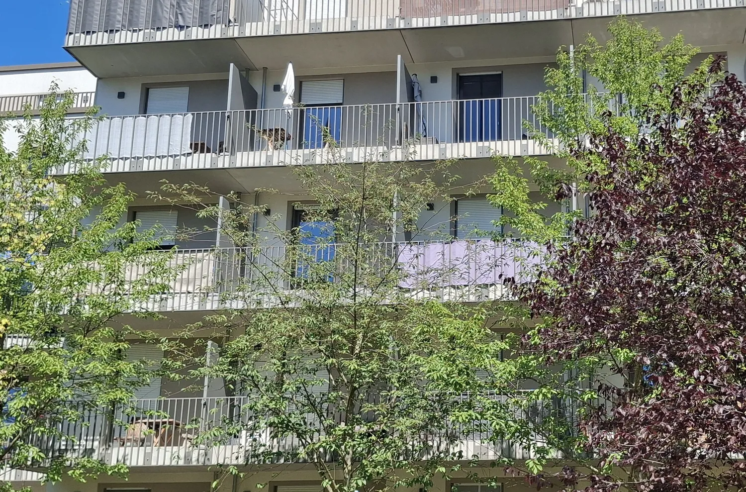 1 Zimmer Wohnung mit 27 m² in München – Bild 2