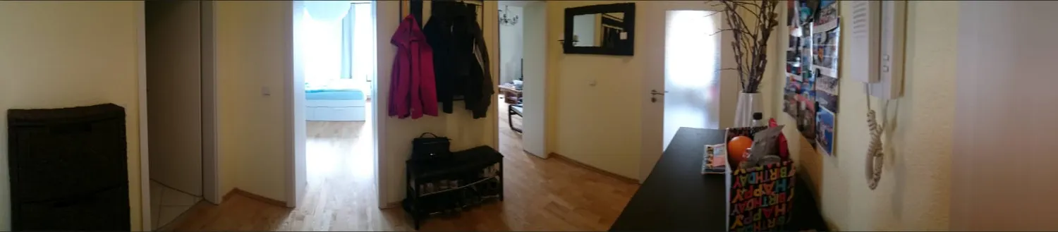 2 room apartment with 55 m² in Dresden – Photo 6