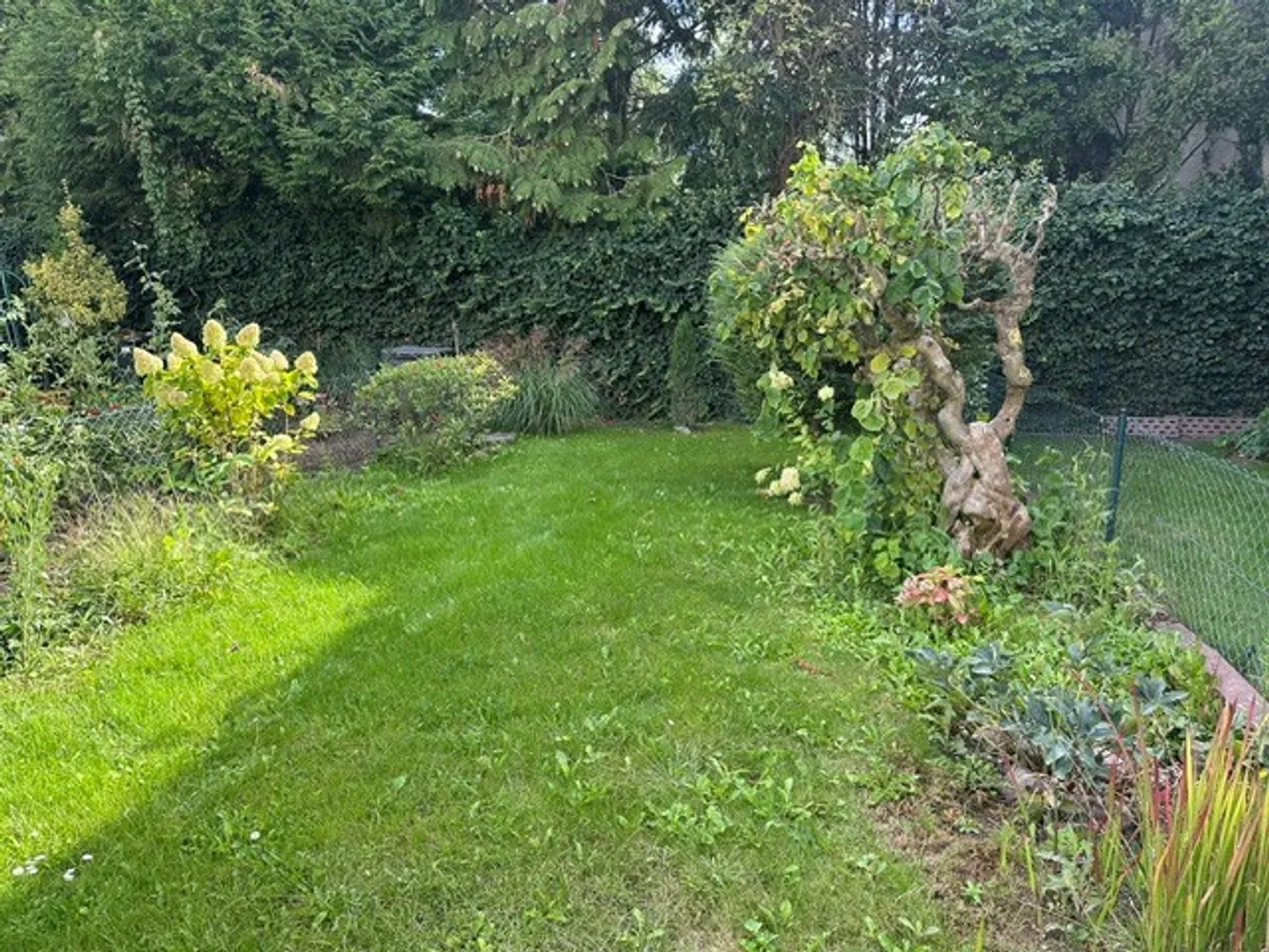 5 Zimmer Haus mit 140 m² in Frankenthal (Pfalz) – Bild 11