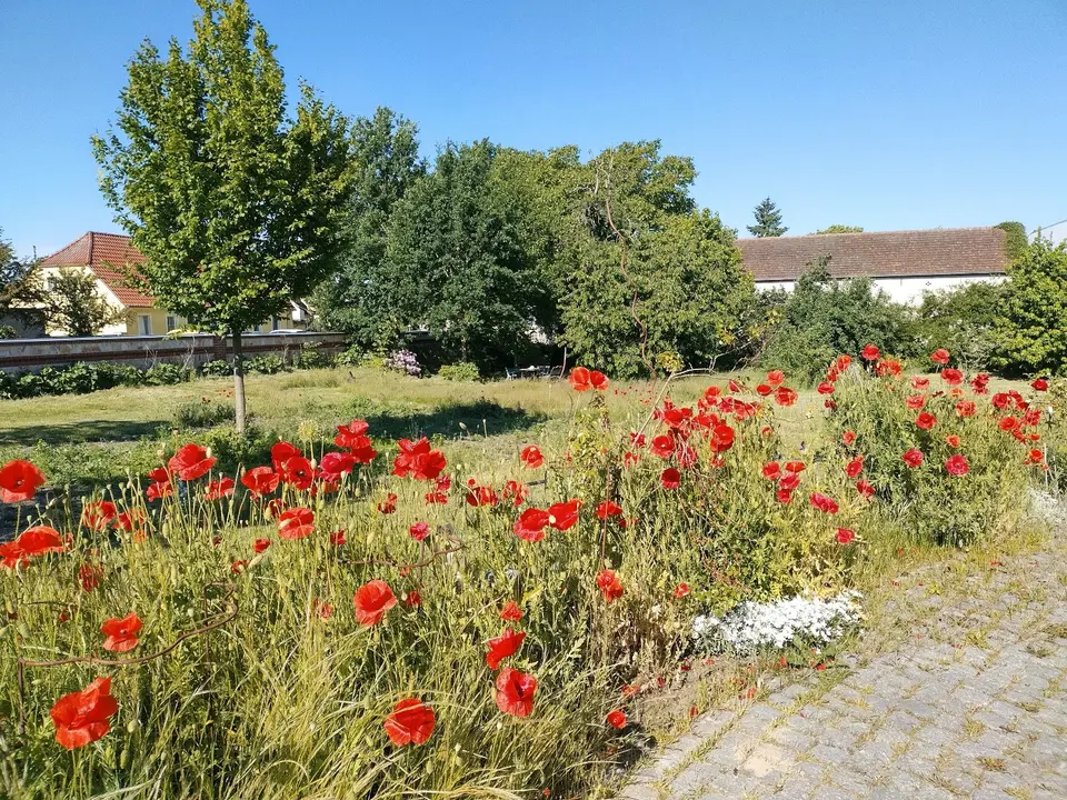 3 Zimmer Wohnung mit 100 m² in Rathenow – Bild 2